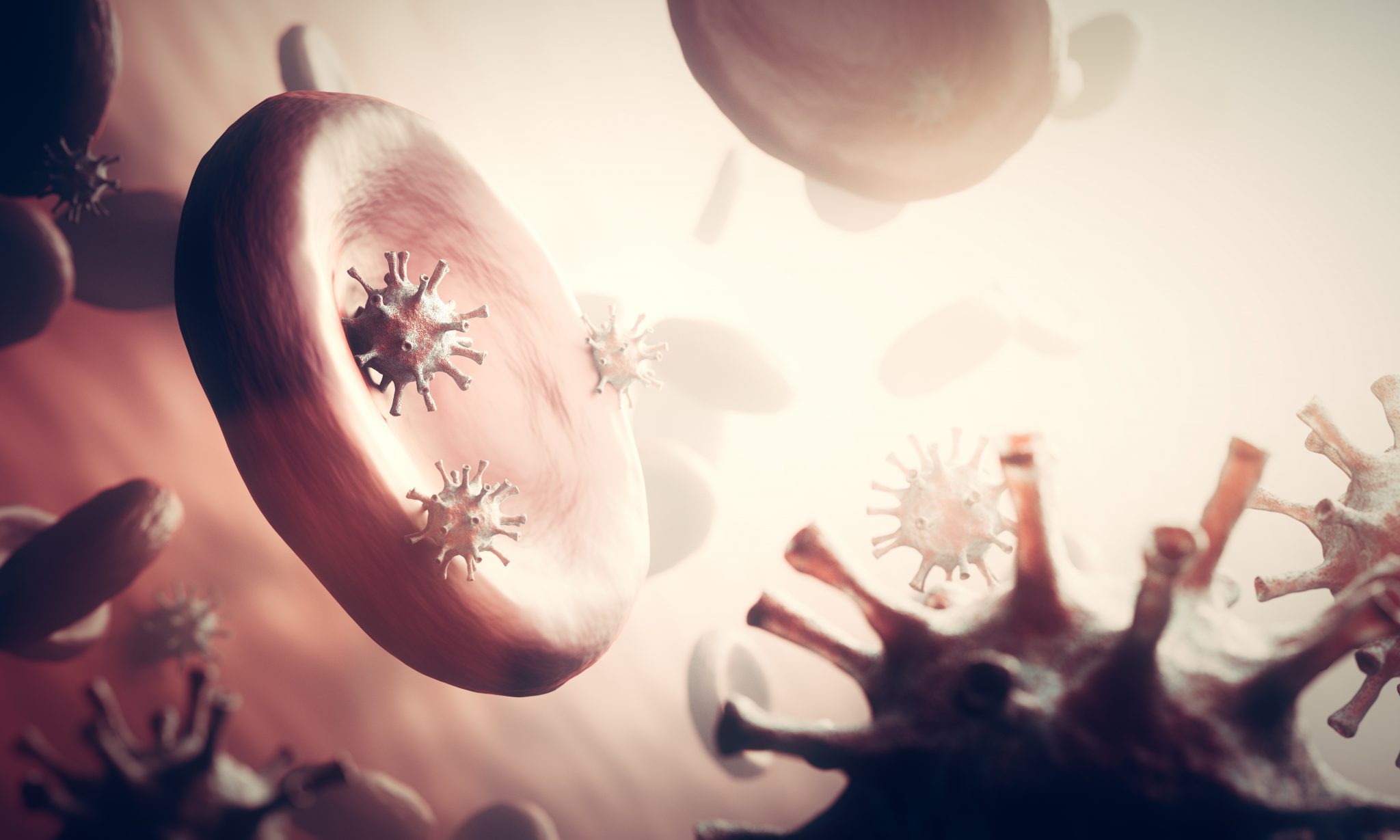 coronavirus covid 19